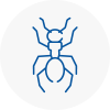 Ant Removals In Kirkstall