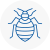 Bed Bug Extermination In Kirkstall