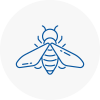 Bee Nest Removal Kirkstall