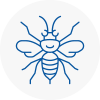 Kirkstall Hornet Nest Removals