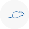 Mice Exterminators In Kirkstall