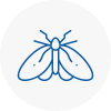 Moth Control Specialists In Kirkstall