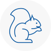 Kirkstall Rodent Removals