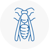 Kirkstall Wasp Nest Removal